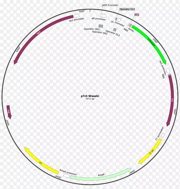 Բ������-������