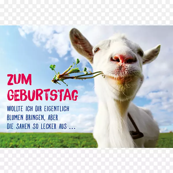 ���յ���YouTube+Feliz����-����-������