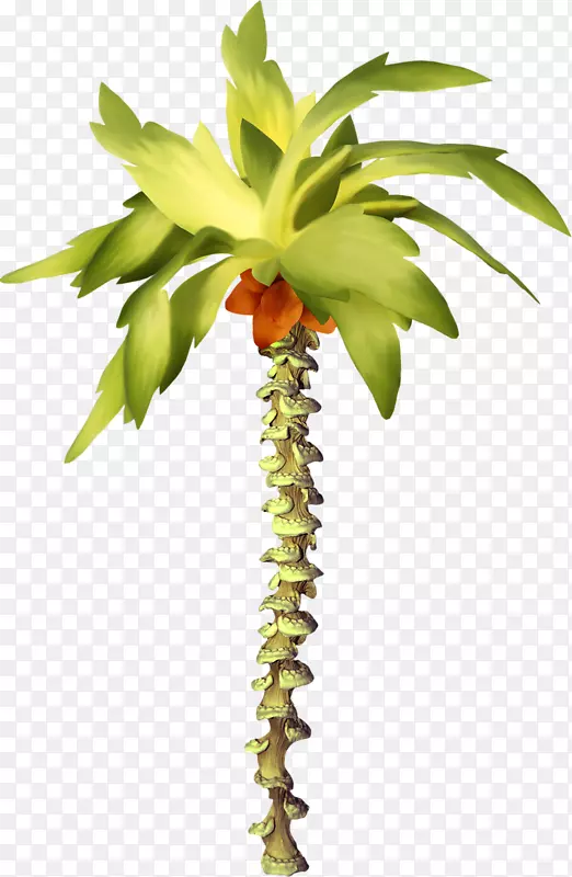 ��Ҷ��ľ(Auglis mangifera inapa-Ҷ)-������