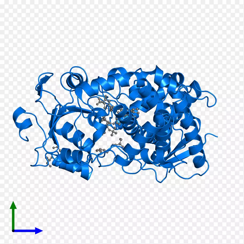 �߼��������-������