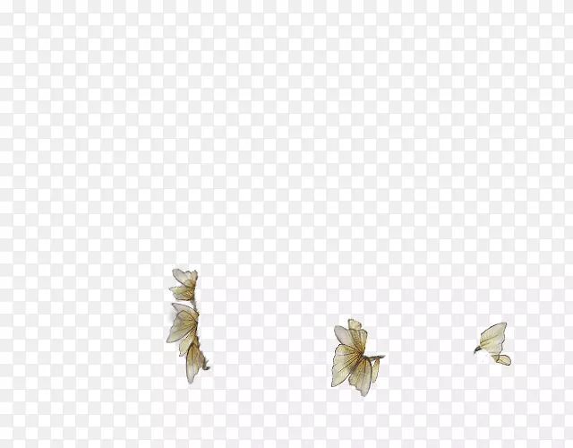 �����鱦����-�鱦-������