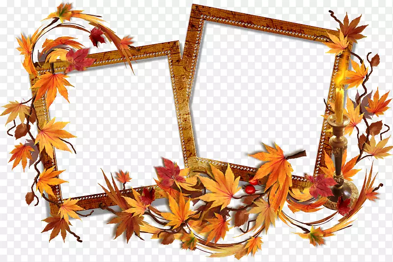 �����ﻭ����-��-������