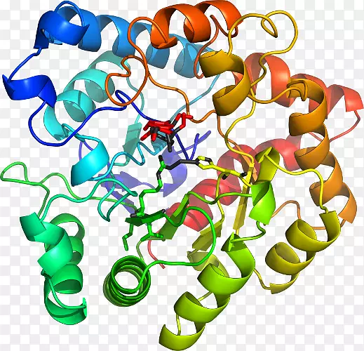 ���������л����߼�������-������