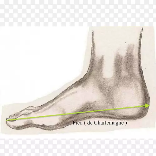 Ь�����-������