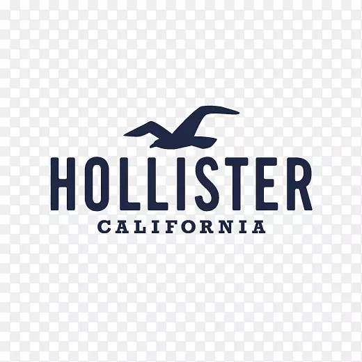 Hoodie Hollister��˾���Ϲ㳡����з�װ-����˹��-������