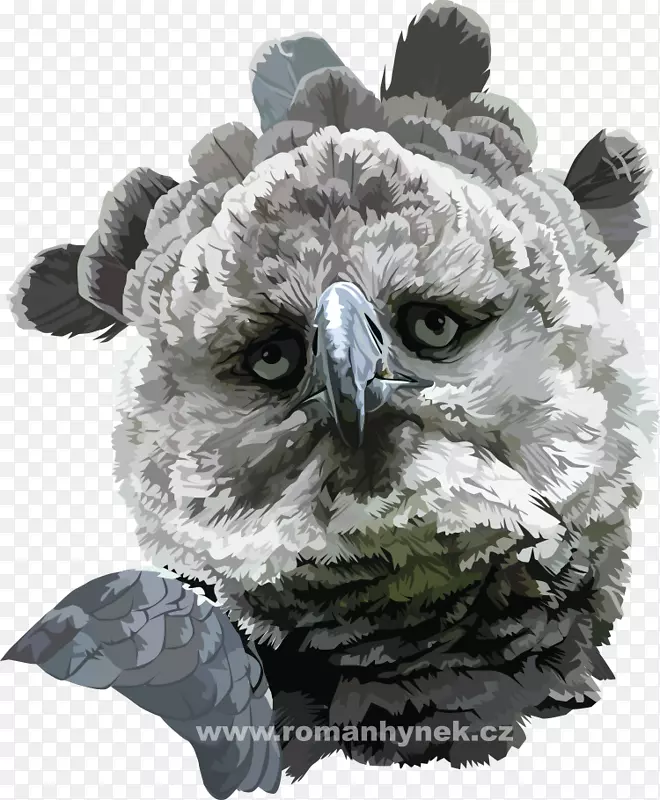 èͷӥ��èͷӥ-������