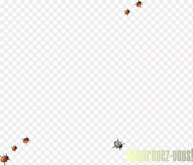 ���������ֽ���ۻ�������������-������