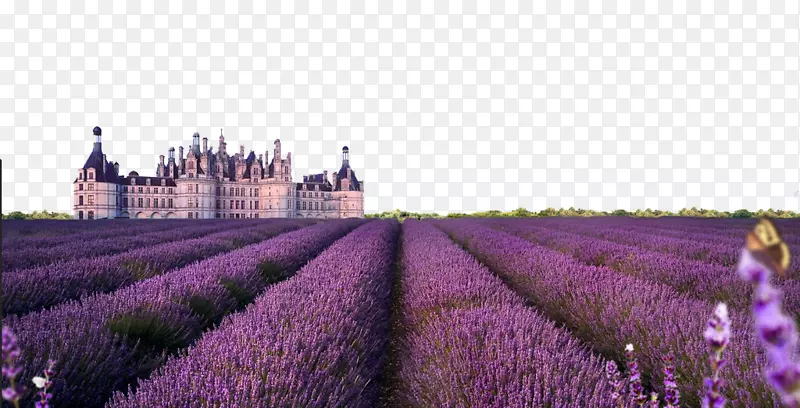 ���ɳĮ޹�²���������˹-޹�²�����-������