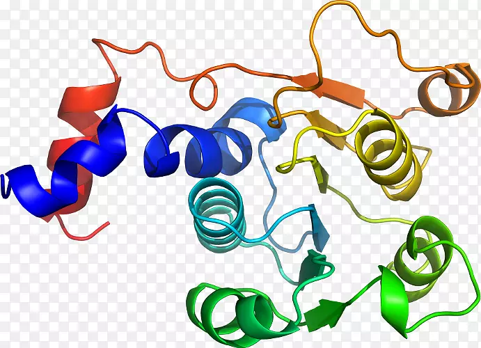 �ߵ������-��-������