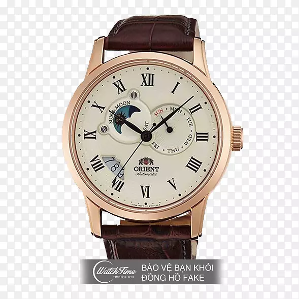 �������Զ�������ʯ��е��-������