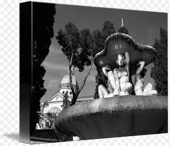 ��Ӱ��ɫ-�����ɵ�����ͨ����-������