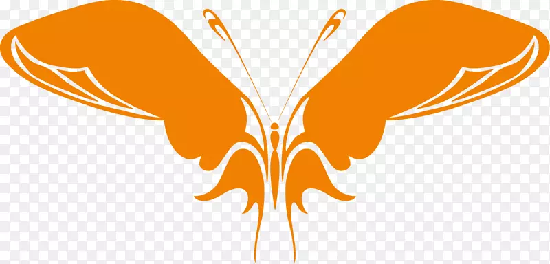 ����������Ӱ.����-������