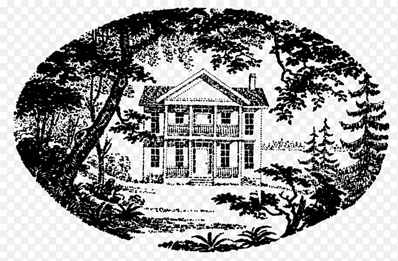 �����׻�ֲ��������-������