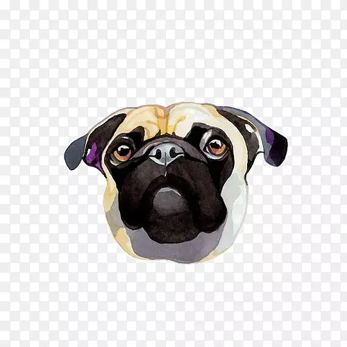 ����ɳ��С��Ʒ��ͼ-ɳ�ఢ����-������