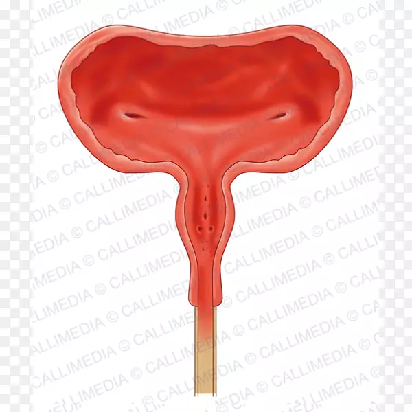 ���׽��ʰ��װ���йϵͳ-����-������