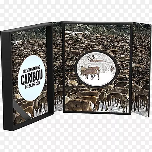 ���ѱ¹����˹�Ӷ�ԭ�Ǳ�stxe6finGR EUR-ѱ¹-������