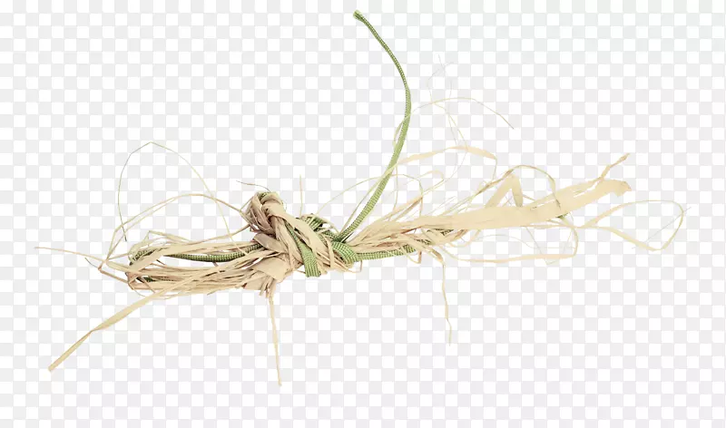 ����ִ��ݲ�-������