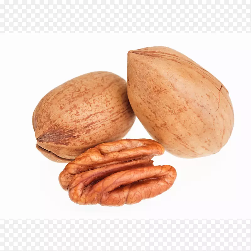 Ӣ��������-����-������