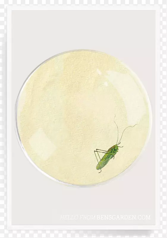 ԲȦ-������