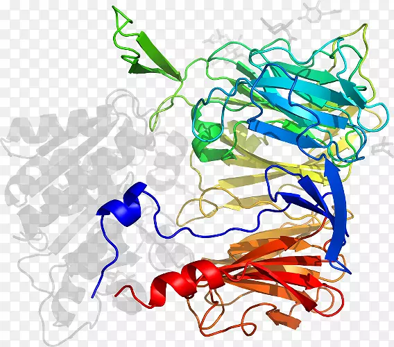 ����ƽ����Ƶ��������-������