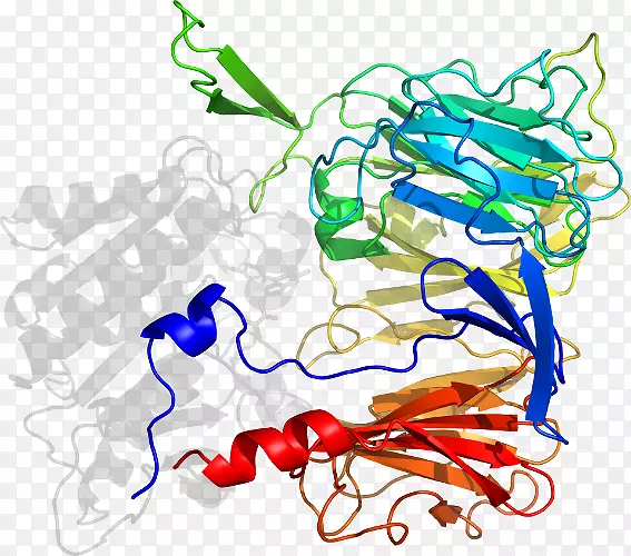 �ߵ�ƽ����Ƽ�������-������