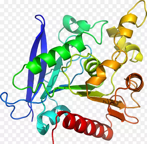 �޼�׵���������鱦�߼�������-������