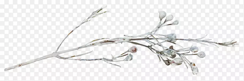 �����鱦ʱ�����.����ѩ����֦��-������