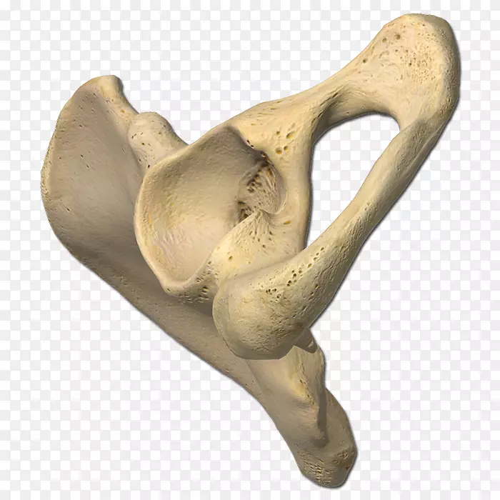 appsquiz����-������Ϸandroid-����-������