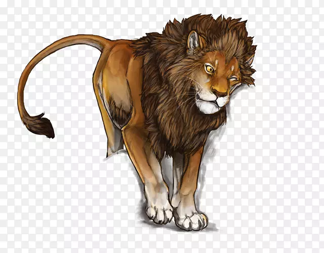 ����è�ƶ���Ұ������ëƤè-������