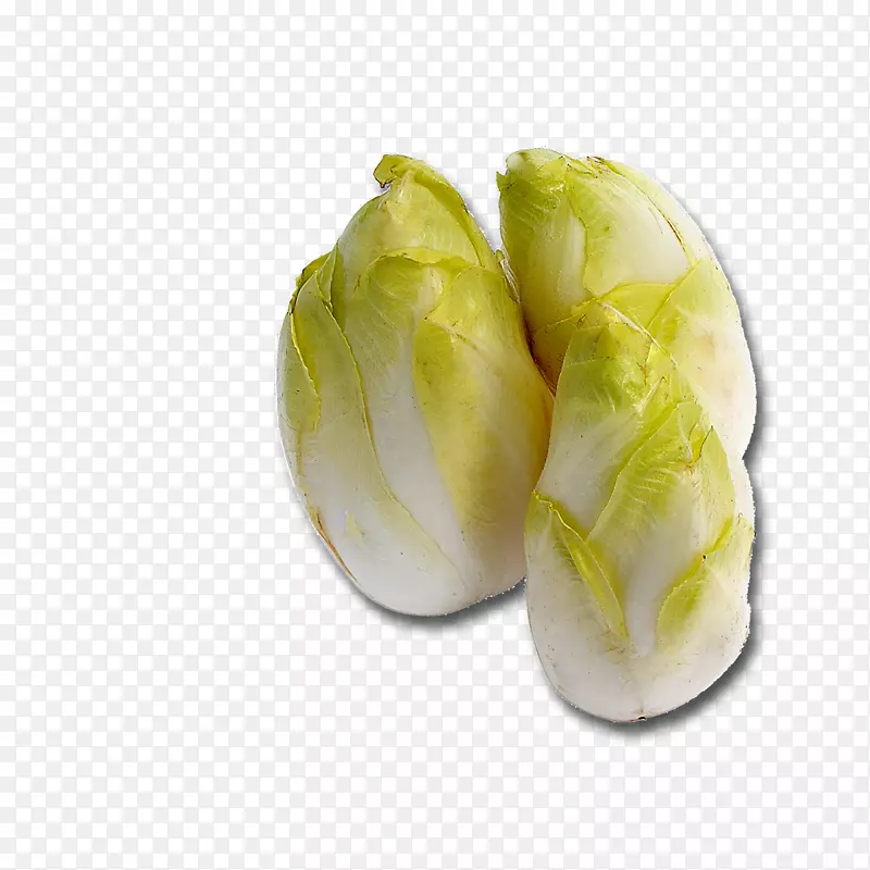 �˿����-������