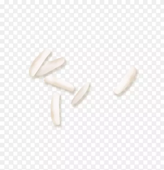 ָ����-������