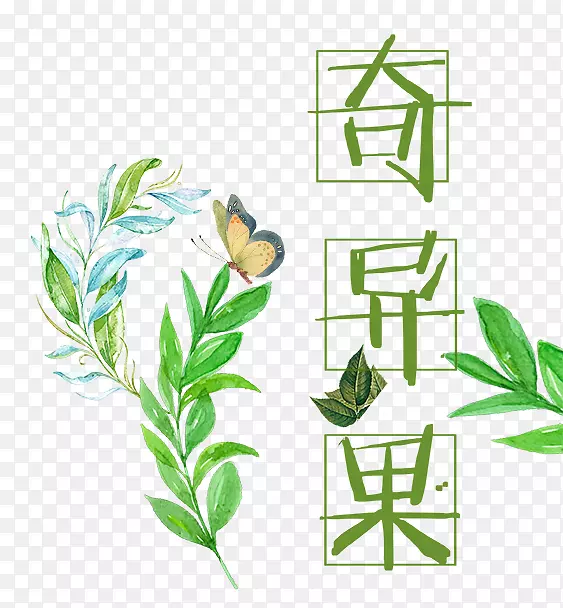 ��֭⨺��Һ���-������