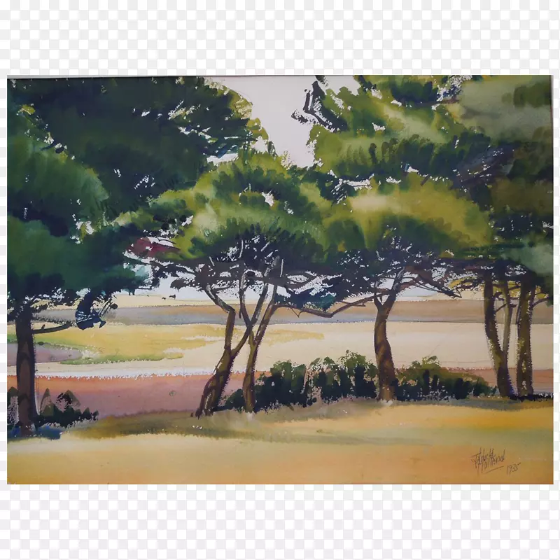 ˮ�ʻ�-������