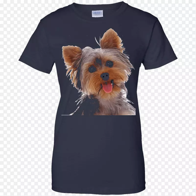 t��ñ����������t��-������