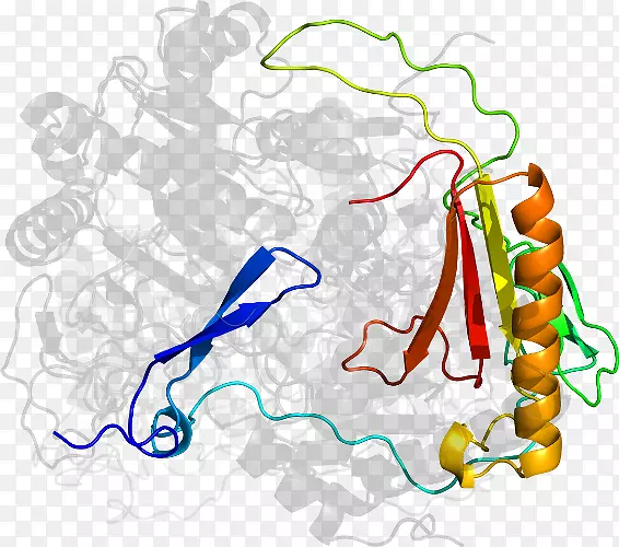 �ߵ������������-������