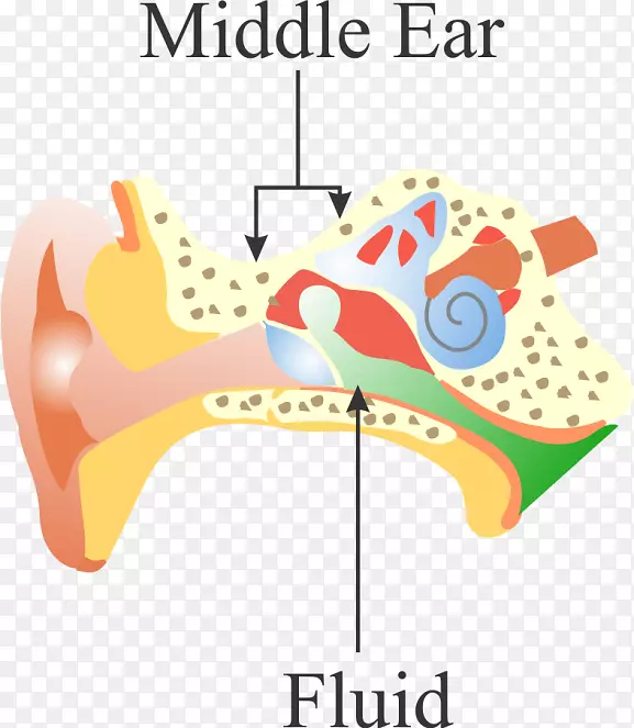 ���Ǽ��������-������