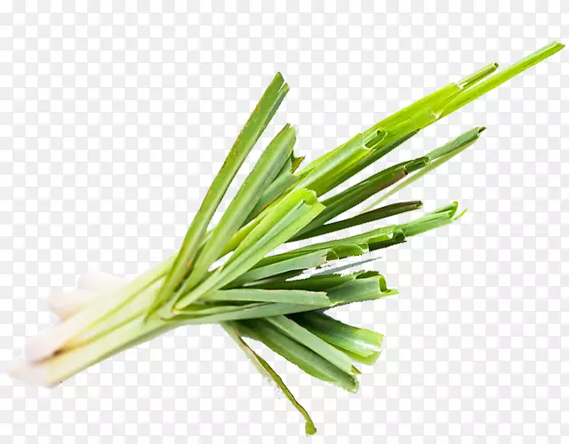 ����������ʿ�˾²����ʲ���Ʒ-��é(Cymbopogon Citratus)-������