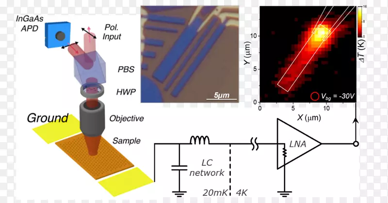 ֱ�ߵ����-������