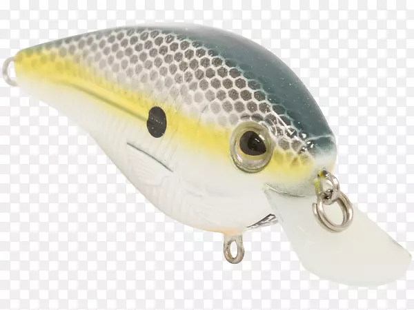 �����ն������ն�����˹���ն�ˮ��������-������