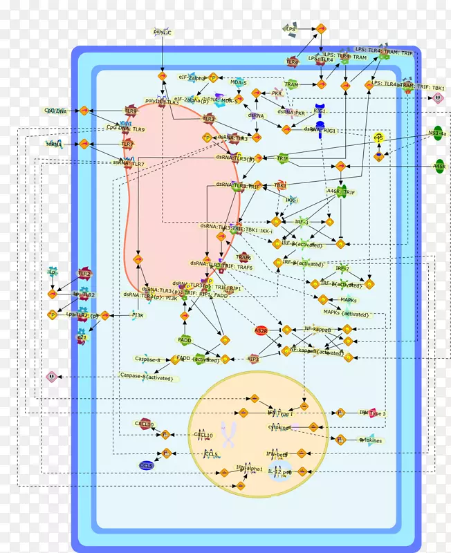 �ߵ�ͼ-��-������