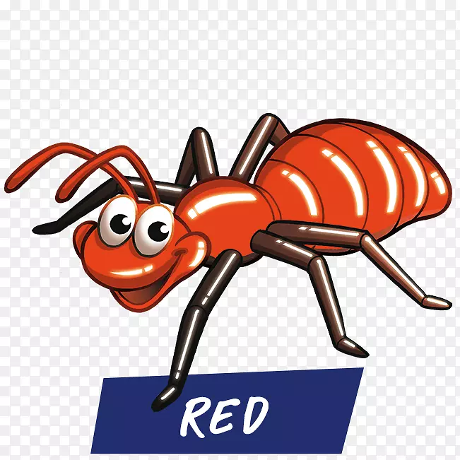 ���洫�����߼���������-������