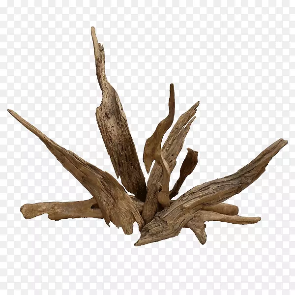 ��ľ-������