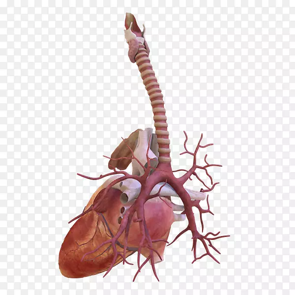 ����������ʾ�����-������