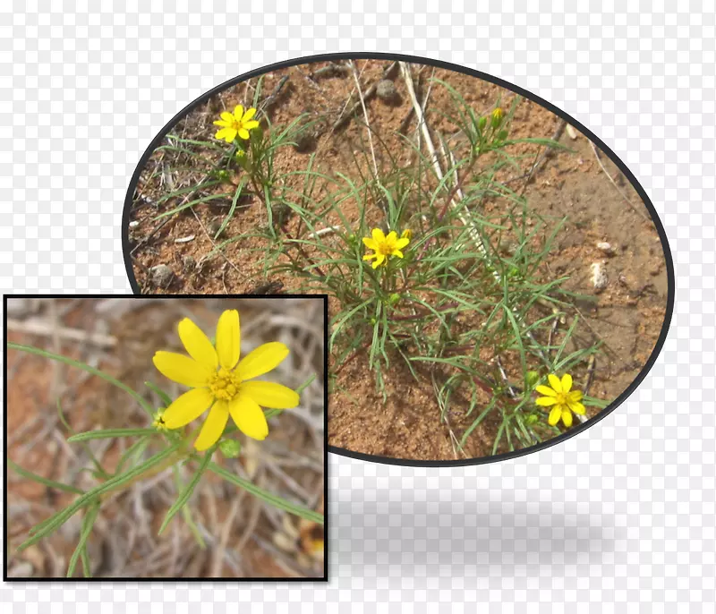 Ұ����ƺ��-������