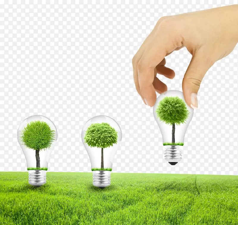 ���������LED�������׳���ݳֵ���-������