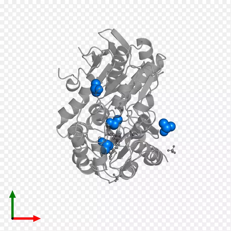 ����ɫ��������.���-������