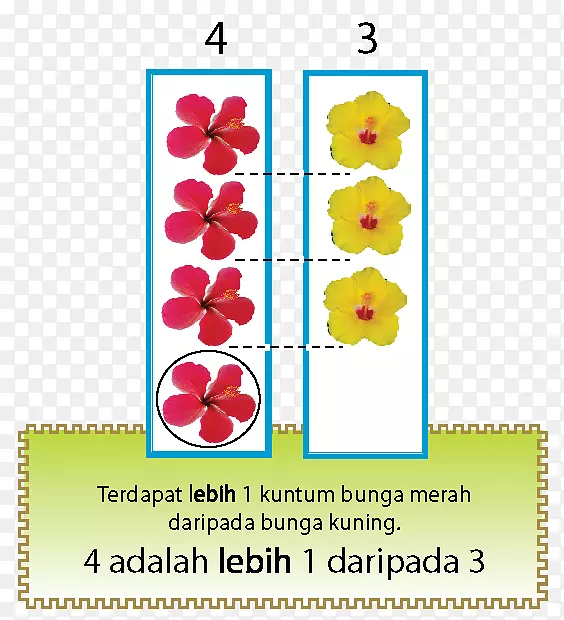 ����ֲ��-������