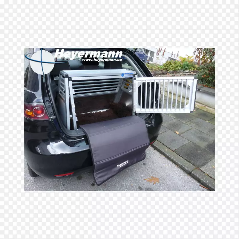 �������ոܽ����ͳ�������-������