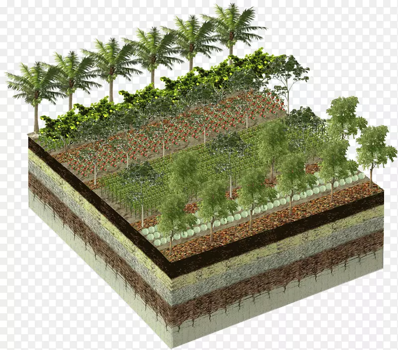 ������-������