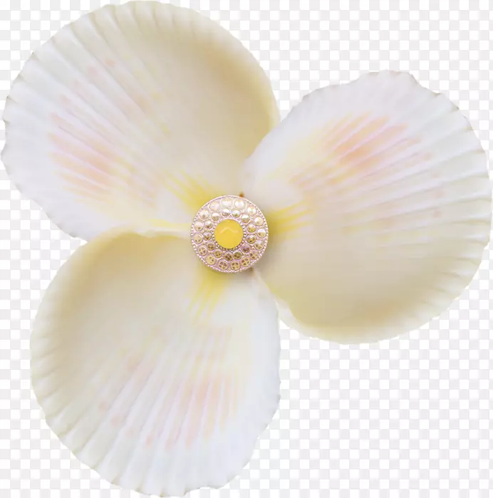 ����Ʋ���-��������-������